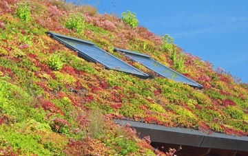 Loughbrickland living roof systems