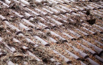 Loughbrickland roof cleaning companies