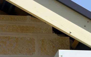 soffit repair Loughbrickland