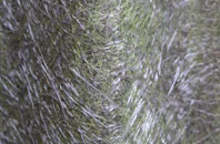 Loughbrickland fibreglass roof work